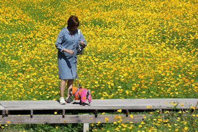 Full length of woman standing on yellow flowering plants