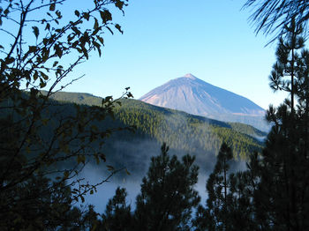 View of trees with mountain peak against clear sky