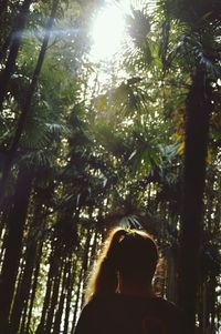 Low angle view of trees in forest