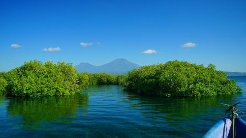 Scenic view of lake against blue sky