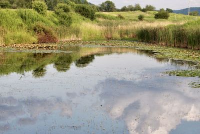 Scenic view of lake