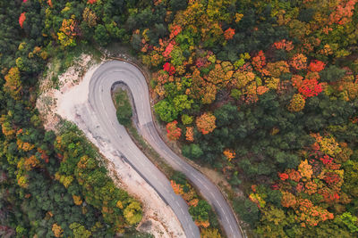 Aerial view of a winding road from a high mountain pass through a dense colorful autumn forest.