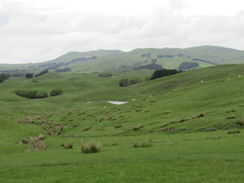 Scenic view of green field against cloudy sky