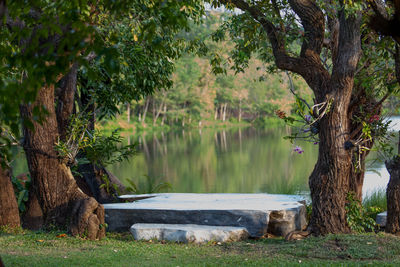 Scenic view of lake in forest
