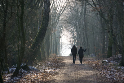 Rear view of people walking on footpath amidst trees in forest