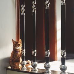 Cat sitting on window sill