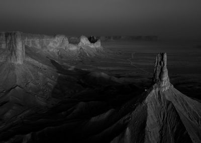 View of driftwood on land