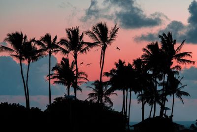 Silhouette palm trees against sky during sunset