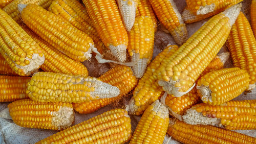 Full frame shot of yellow