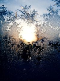 Close-up of water drops on white background