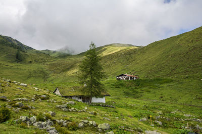 Scenic view of green landscape against sky