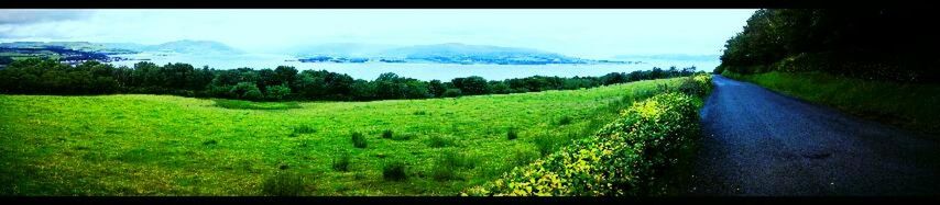 Scenic view of grassy field against sky