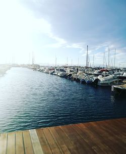 Sailboats moored at harbor against sky