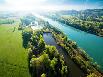 High angle view of trees on landscape