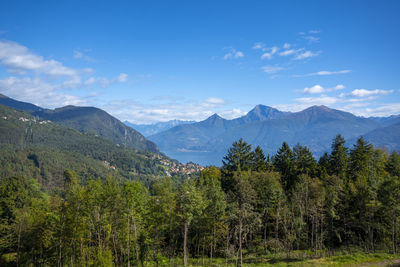 Scenic view of trees and mountains against blue sky