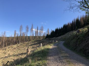 Road amidst trees on field against clear sky