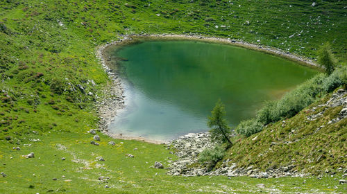 High angle view of lake amidst trees on field