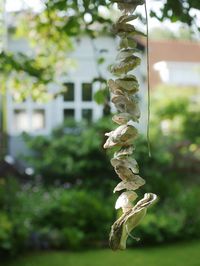 Close-up of statue against trees