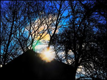Low angle view of sun shining through silhouette trees