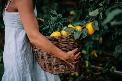 Midsection of woman holding ice cream in basket