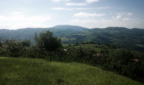 Scenic view of landscape against sky