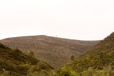 Scenic view of landscape against clear sky