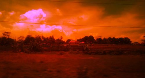 Silhouette trees on field against sky during sunset