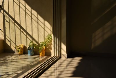 Potted plants in balcony of building