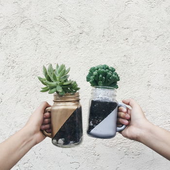 Hands holding plants in glass jars