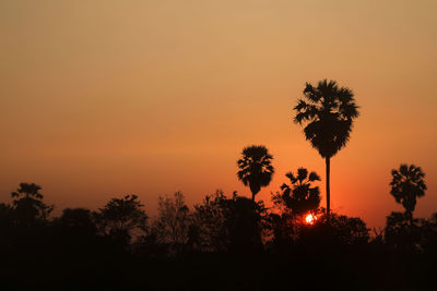 Silhouette trees against sky during sunset