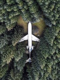 Directly above shot of abandoned airplane amidst trees in forest