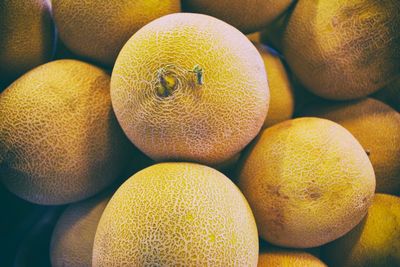 Close-up of oranges