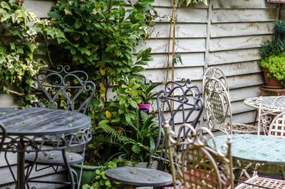 Potted plants on table in yard