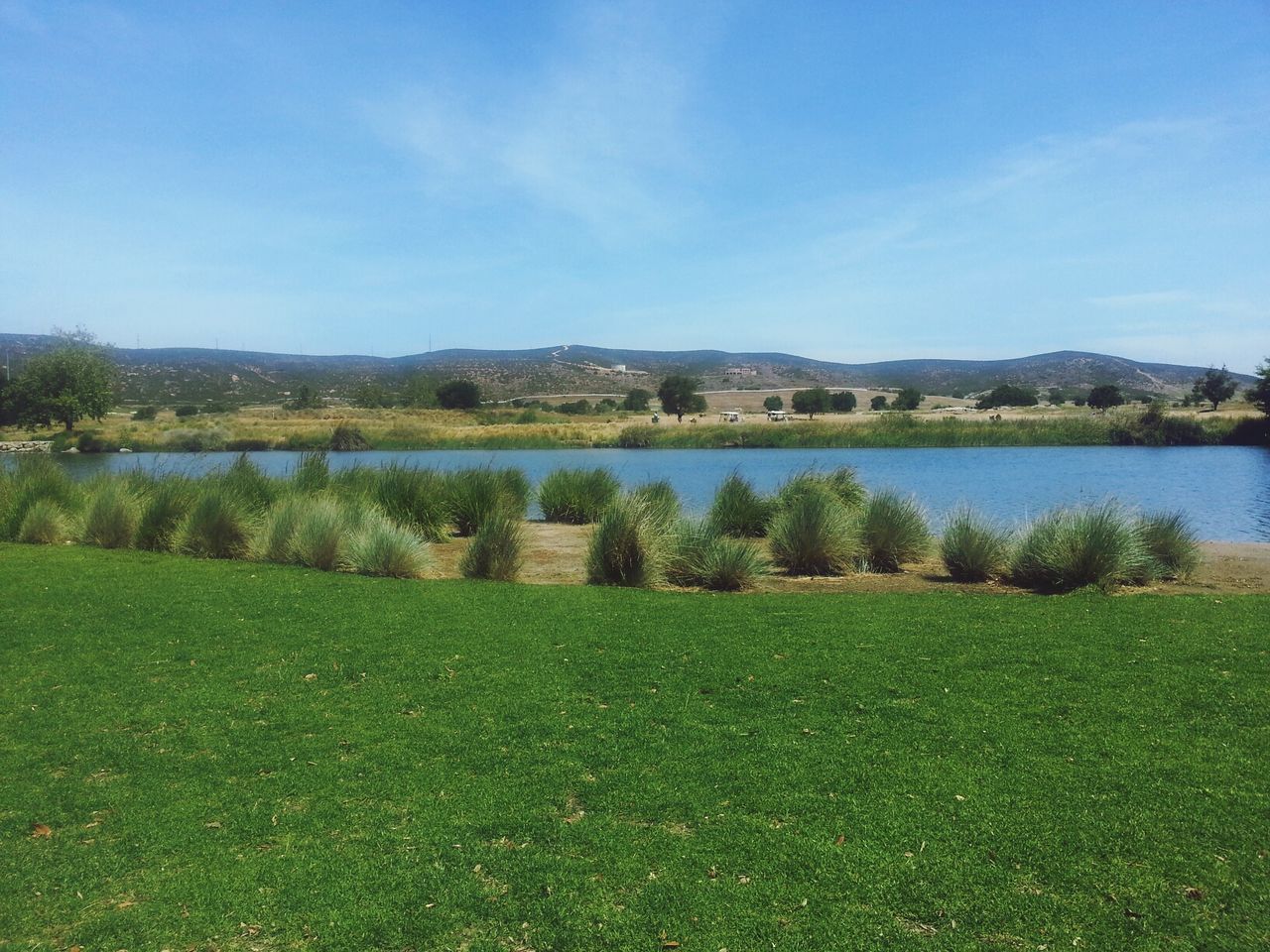 grass, tranquil scene, tranquility, sky, scenics, beauty in nature, tree, blue, landscape, mountain, nature, growth, field, green color, water, grassy, lake, plant, idyllic, day