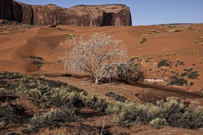 View of desert