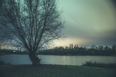 Trees by lake against sky during sunset