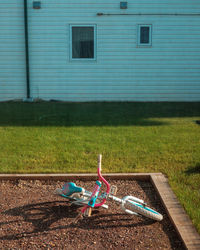 Boy on grass