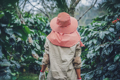 Rear view of woman standing by tree in forest