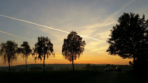Scenic view of trees at sunset