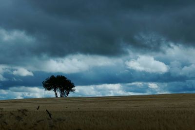 Scenic view of landscape against cloudy sky