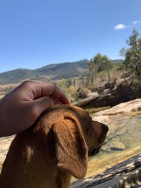Midsection of person with dog
