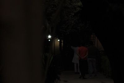 Rear view of men walking on illuminated tree at night