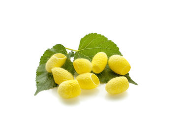 Close-up of fruits against white background