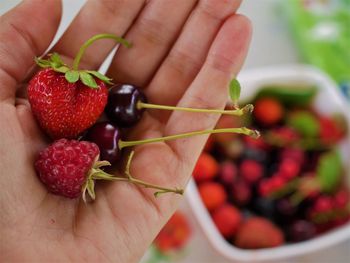 Cropped hand of person holding berries