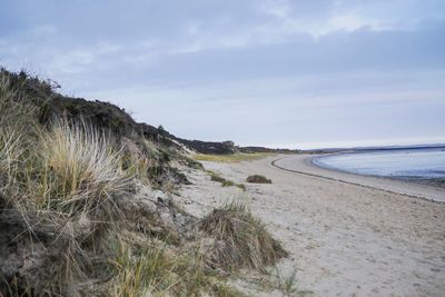 Scenic view of beach against sky