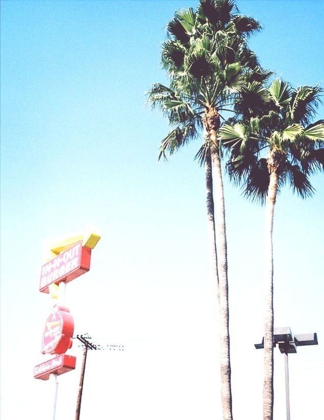 low angle view, clear sky, blue, copy space, palm tree, pole, tree, flag, street light, day, outdoors, nature, sky, no people, tall - high, growth, sunlight, communication, hanging, multi colored