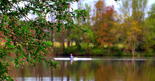 Scenic view man rowing on lake by trees during autumn