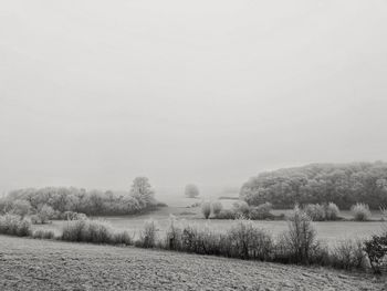 Scenic view of field against clear sky