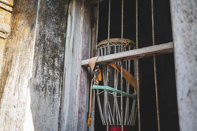 Close-up of a horse in cage