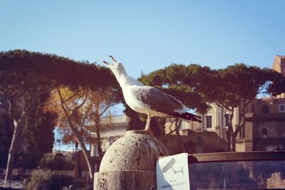 Statue against clear sky